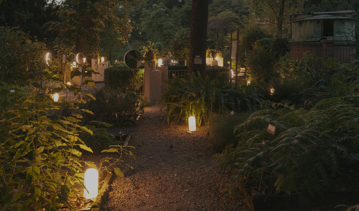 Sentiero di ghiaia illuminato da lampade bianche tra la vegetazione di un giardino botanico di sera.