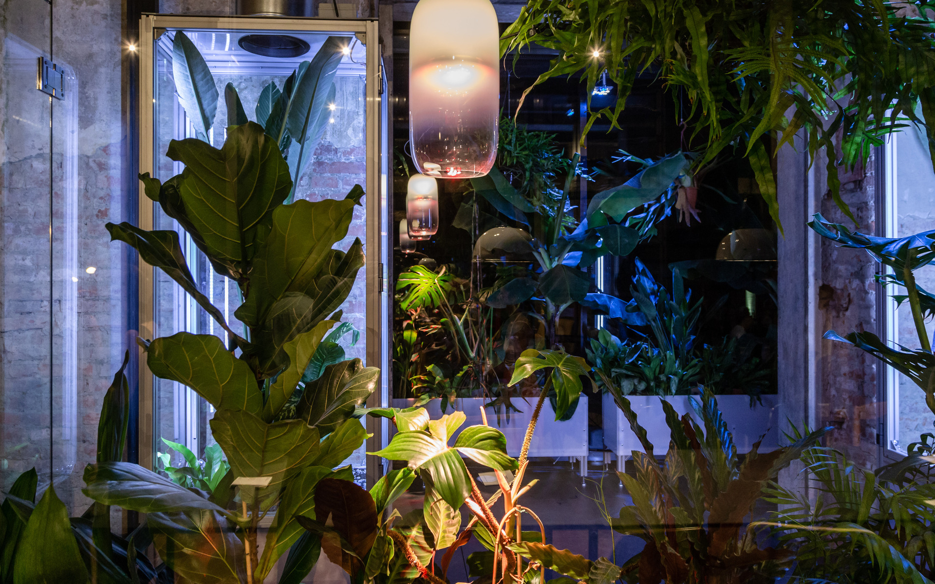 Lampade a sospensione con diffusori in vetro satinato tra rigogliose piante tropicali in un ambiente interno soffuso.