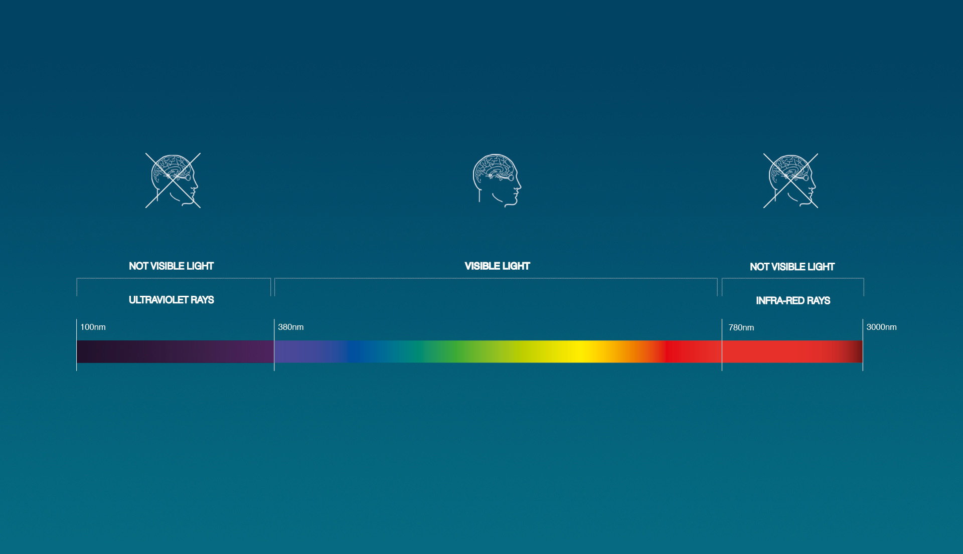 Diagramma dello spettro elettromagnetico: ultravioletto (100-380nm) e infrarosso (780-3000nm) non visibili; l'occhio umano percepisce solo la luce visibile (380-780nm).