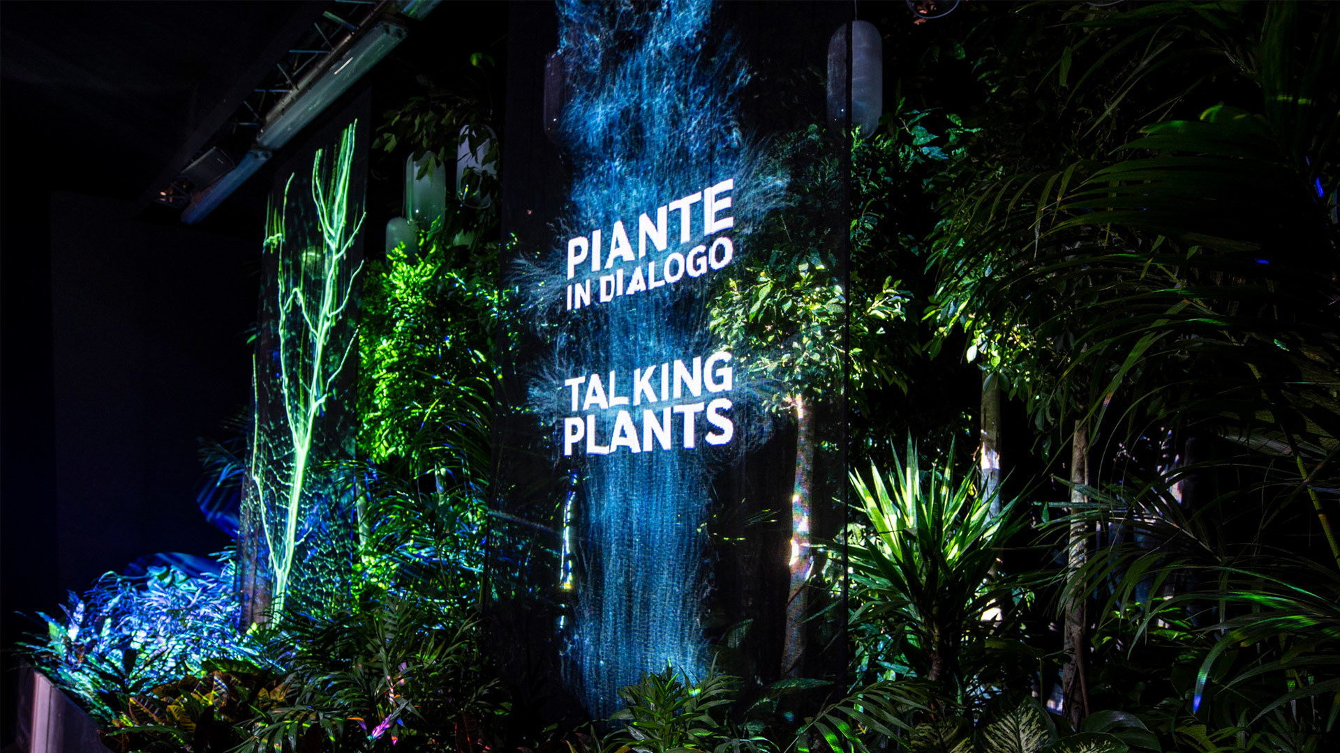 Installazione Talking Plants: rigogliosa vegetazione tropicale illuminata in modo scenografico con toni blu e verde acqua e testo del titolo bilingue proiettato