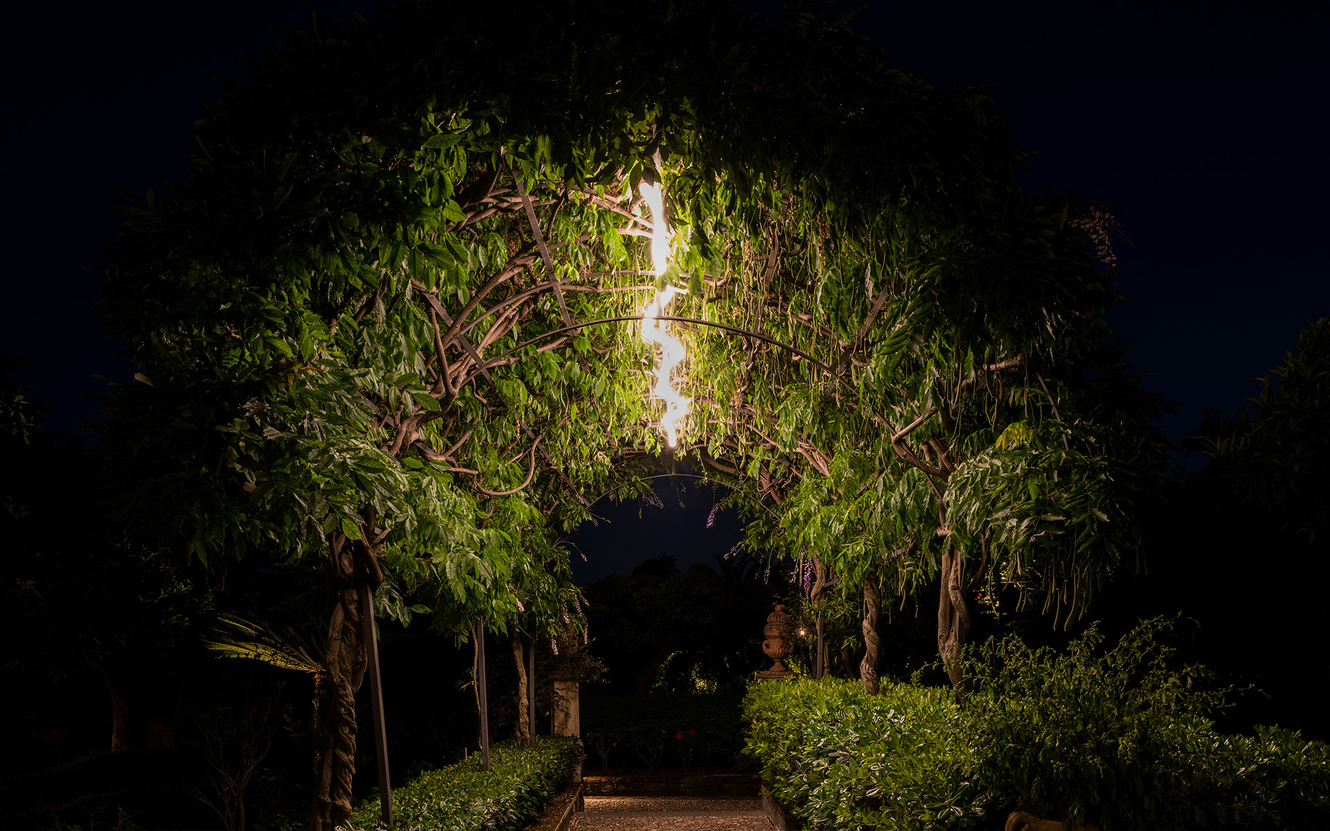 Illuminated garden archway at night, with warm light highlighting a lush green tree tunnel leading to a pathway