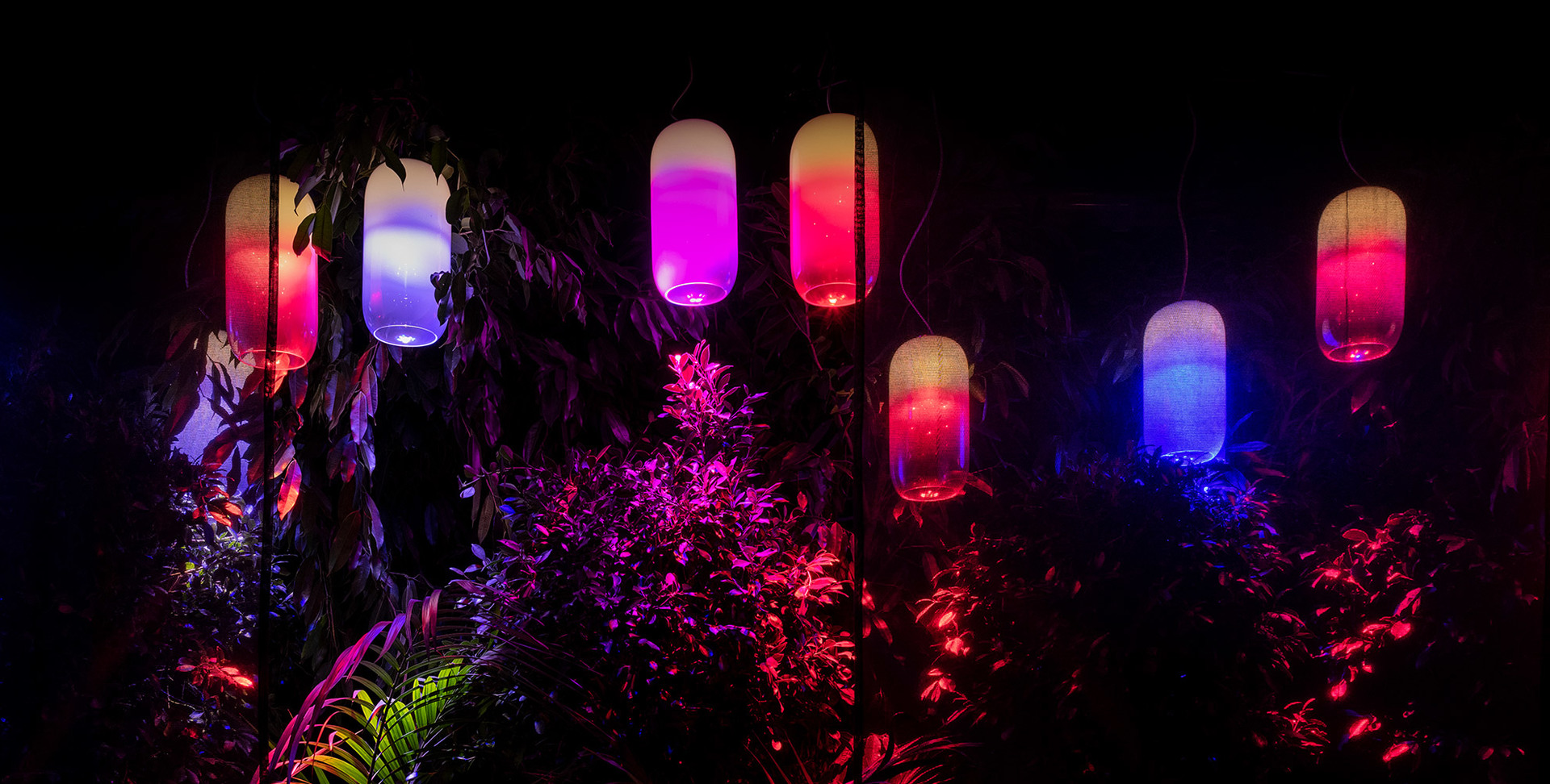 Cinque lampade a sospensione ovali che brillano in vivaci tonalità rosa, viola e blu, sospese tra una rigogliosa vegetazione tropicale in un giardino notturno.
