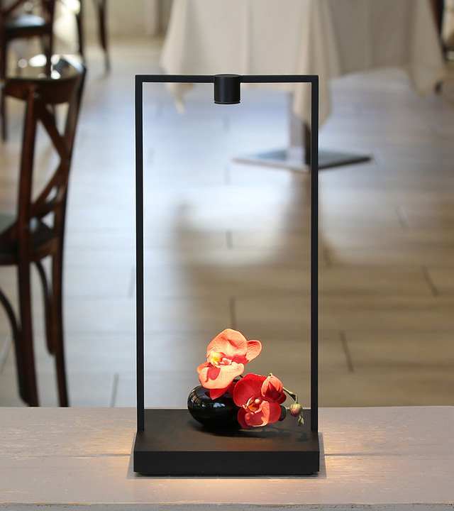Lampada da tavolo Artemide con struttura rettangolare nera e luce LED verso il basso che illumina orchidee rosse in un vaso scuro su base piatta