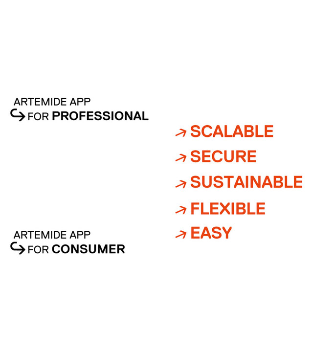 Grafica con funzioni dell’app Artemide per professionisti e consumatori.