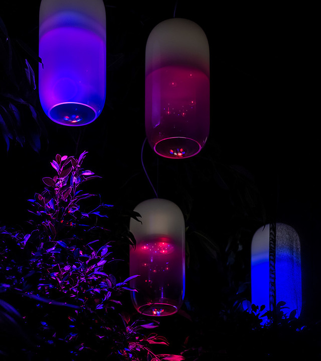 Quattro lampade a sospensione in vetro satinato a forma di capsula che emanano luci viola, blu e rosse, sospese all'esterno di notte tra fogliame scuro.