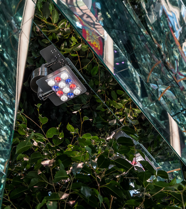 Faretto LED da esterno Artemide con LED rossi, blu e bianchi montato su staffa tra fogliame verde su facciata in vetro