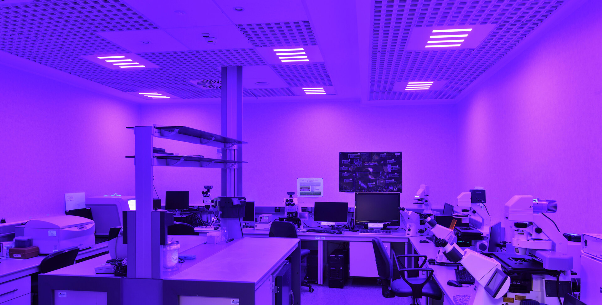 Laboratory illuminated by recessed ceiling panel lights casting a vivid purple-violet glow over workbenches with microscopes and computers