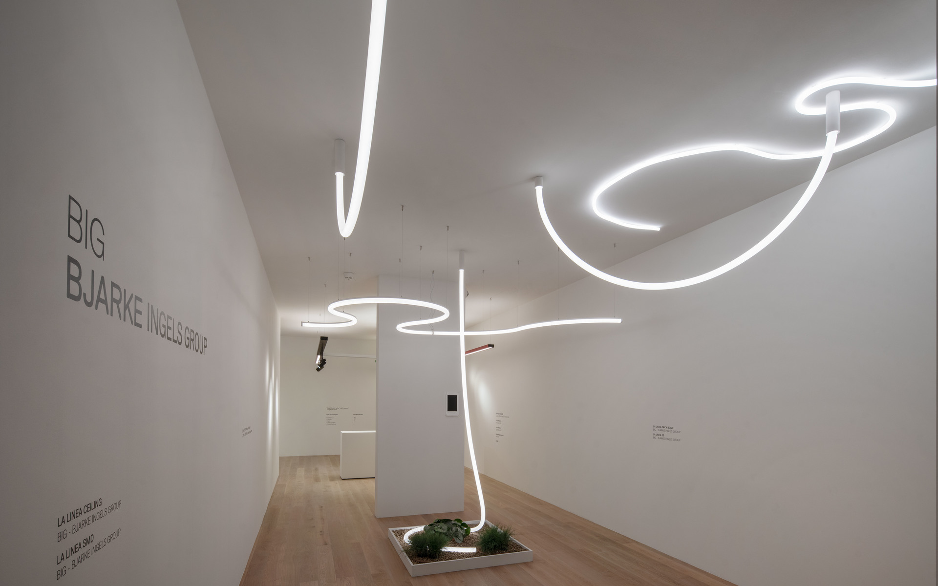 Gallery installation by BIG Bjarke Ingels Group featuring fluid white LED light tubes forming organic shapes on ceiling and walls