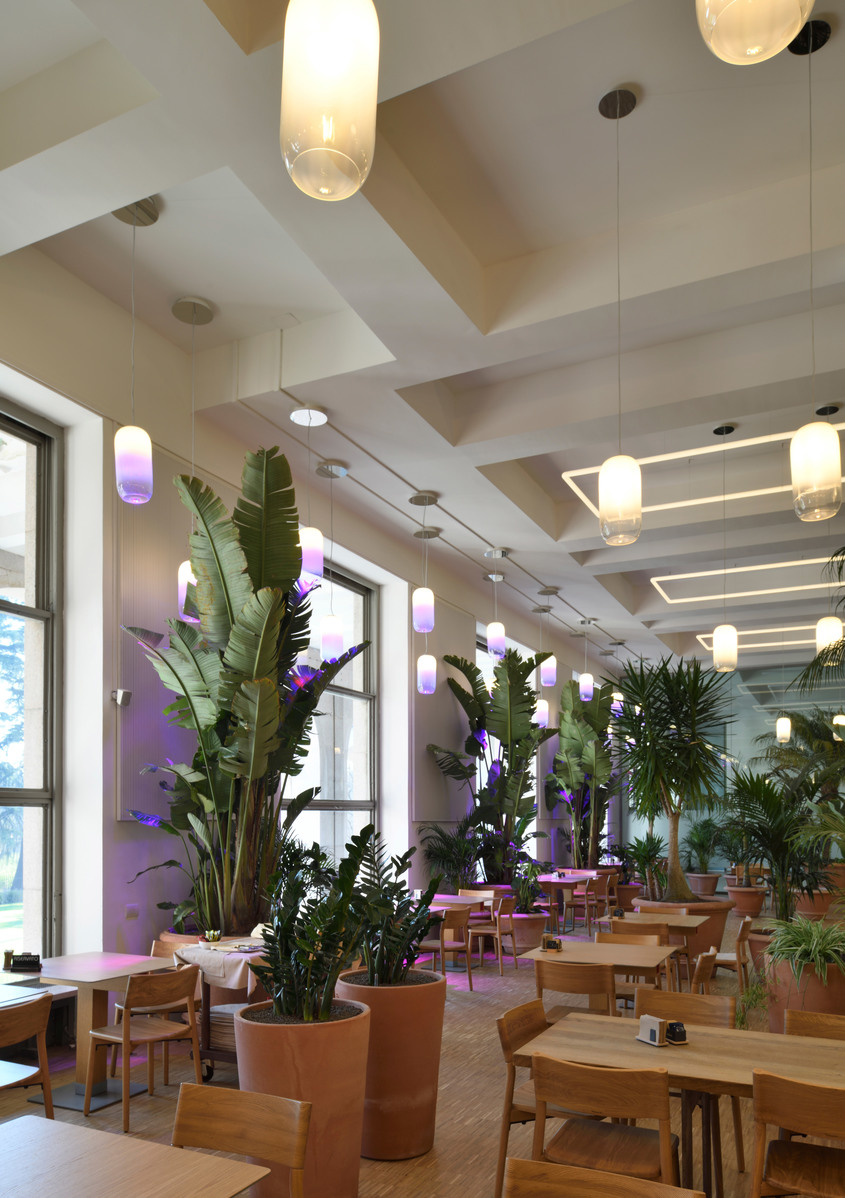 Interno di ristorante con piante tropicali, mobili in legno e lampade a sospensione cilindriche che emettono luce bianca calda e viola lungo il soffitto.