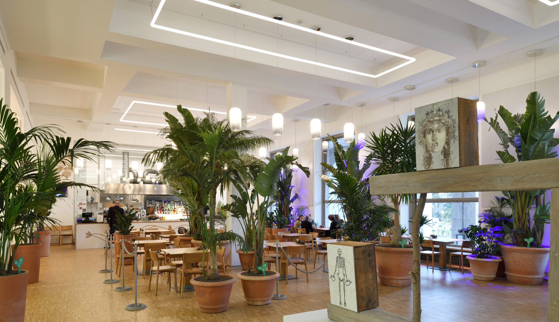 Interno luminoso di ristorante con luci da incasso e a sospensione Artemide che illuminano rigogliose piante tropicali, mobili in legno e soffitti bianchi.