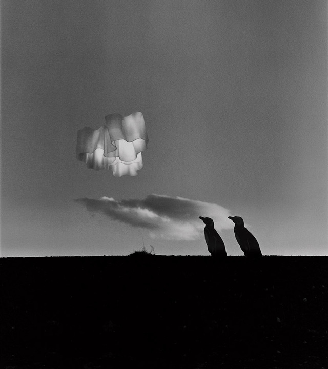 Lampada a sospensione Artemide con diffusore bianco organico sospeso sopra due sagome di uccelli sull'orizzonte scuro, scena surrealista in bianco e nero