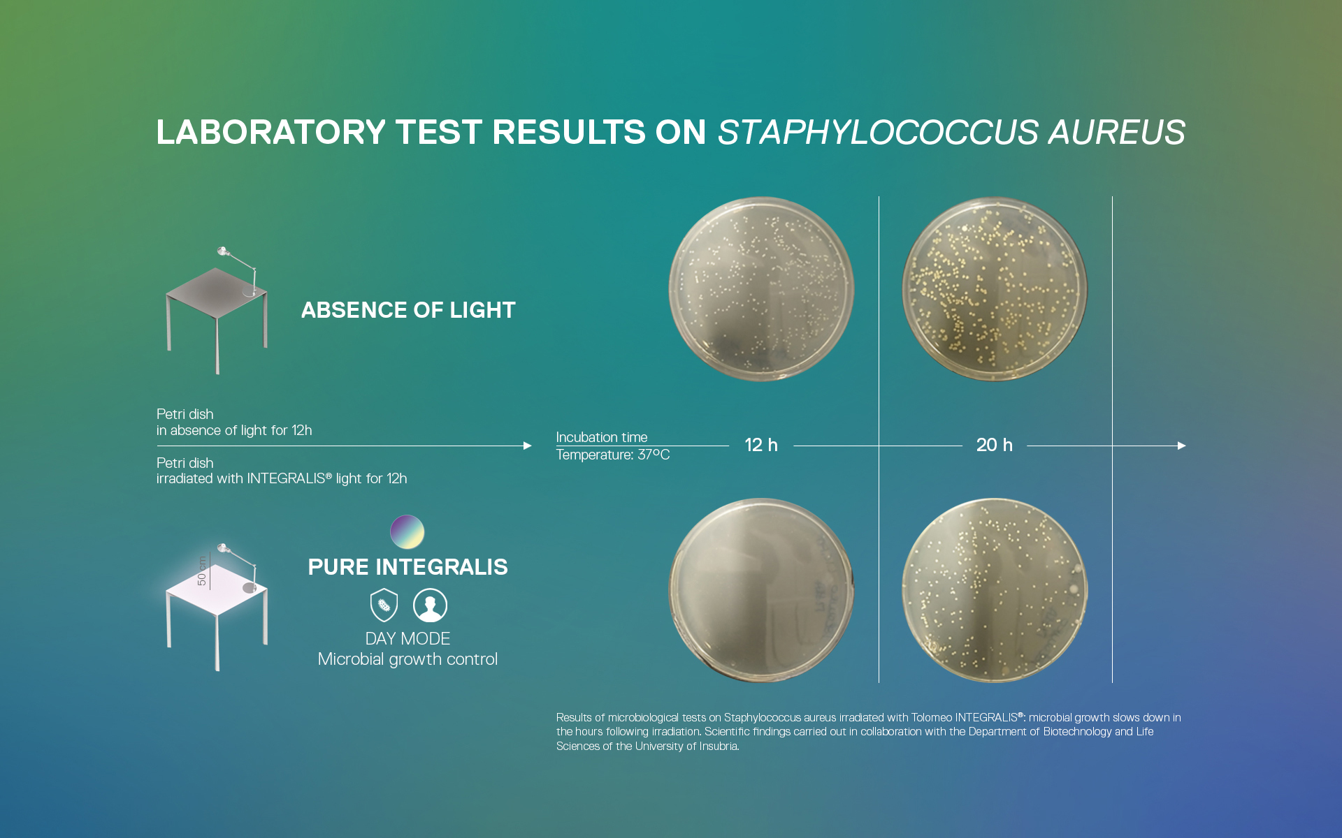 Test su Staphylococcus aureus: Artemide INTEGRALIS DAY MODE riduce la crescita batterica rispetto all'assenza di luce dopo 12h e 20h a 37°C.