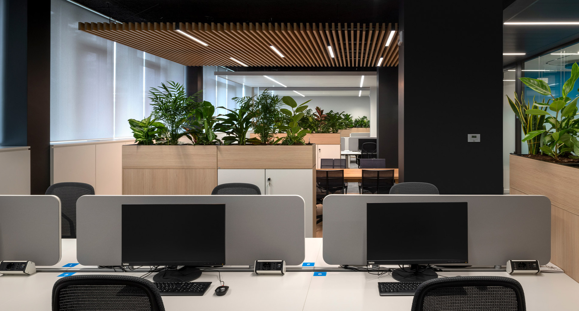 Open space with workstations, monitors, grey privacy screens, wooden planters with plants and slatted ceiling with integrated controlled-emission lighting.