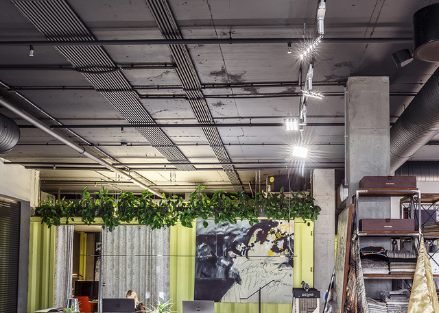 Industrial office interior with exposed ceiling, hanging greenery, and pendant track lighting illuminating an open workspace.