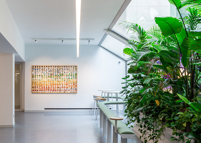Modern corridor with Artemide recessed linear ceiling lights, lush tropical plants, colorful artwork on white wall, and bar-height seating.