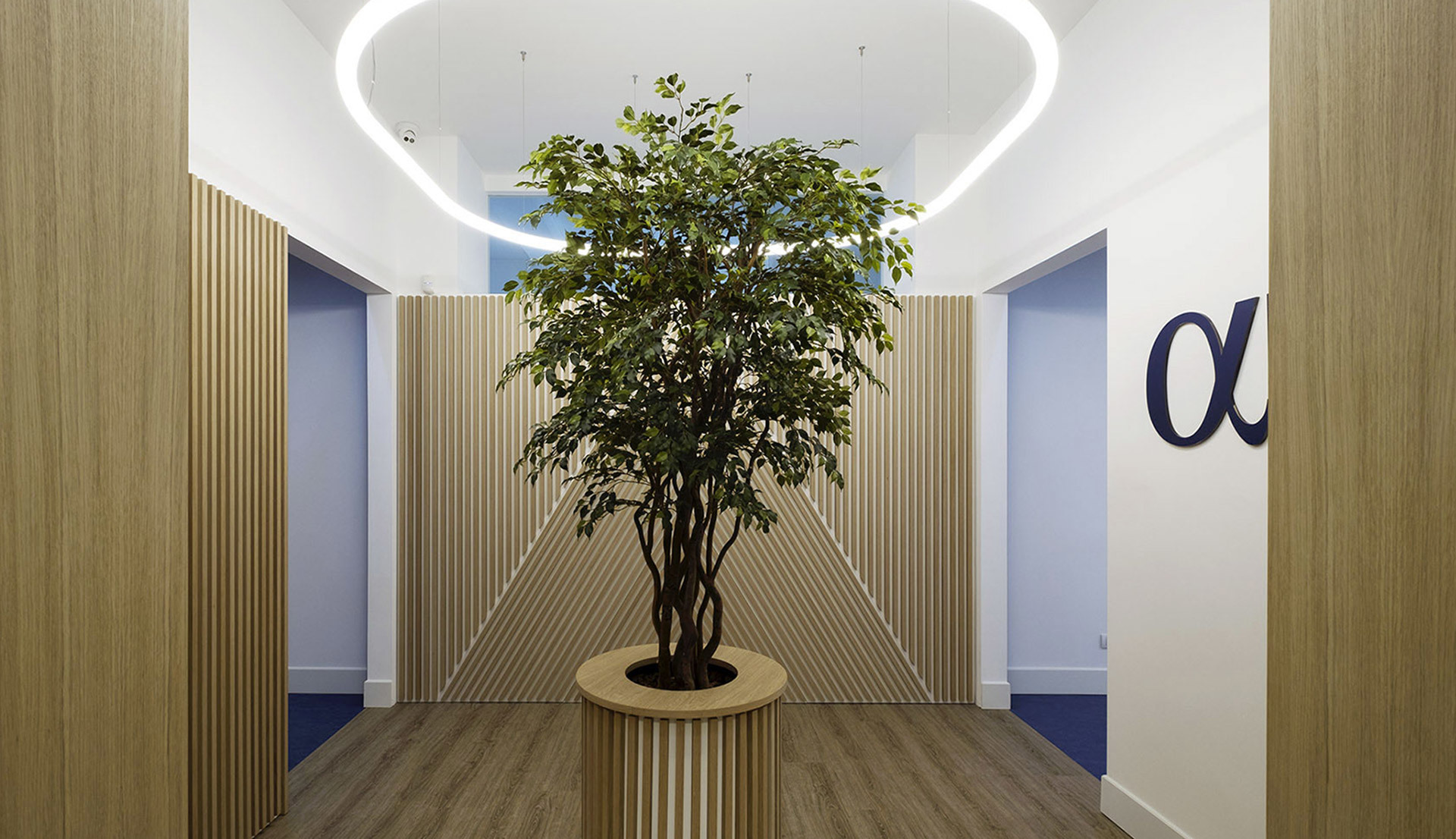 Modern office lobby with a ficus tree centerpiece, wood slat panels, and an oval Artemide LED ceiling light installation.