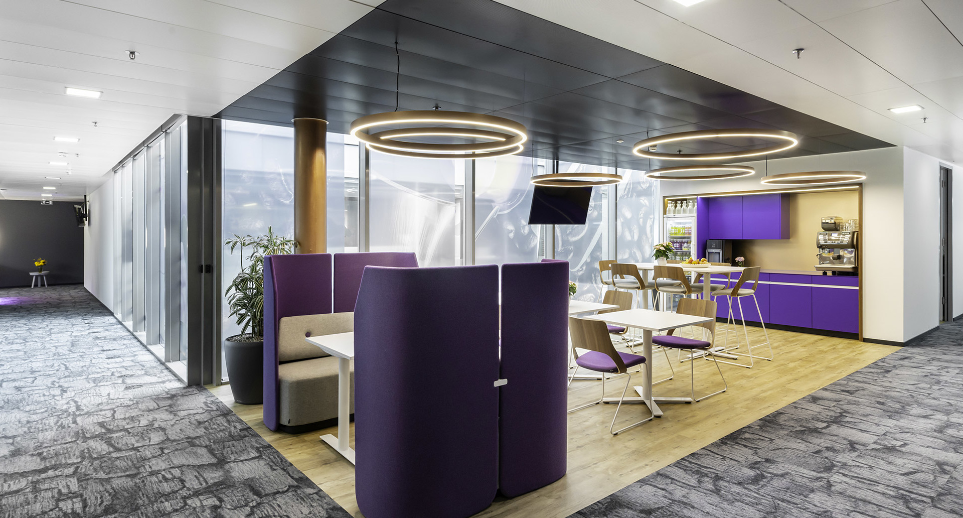 Modern office lounge with Artemide circular ring pendant lights illuminating purple booth seating, dining area, and kitchenette