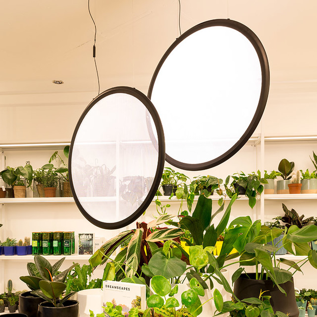 Due grandi lampade a sospensione circolari LED con cornice nera sospese sopra una lussureggiante esposizione di piante in un luminoso spazio commerciale.
