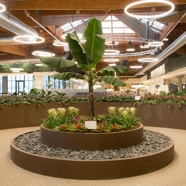 Large indoor atrium with circular plant display under Artemide ring-shaped pendant lights suspended from a wooden ceiling.