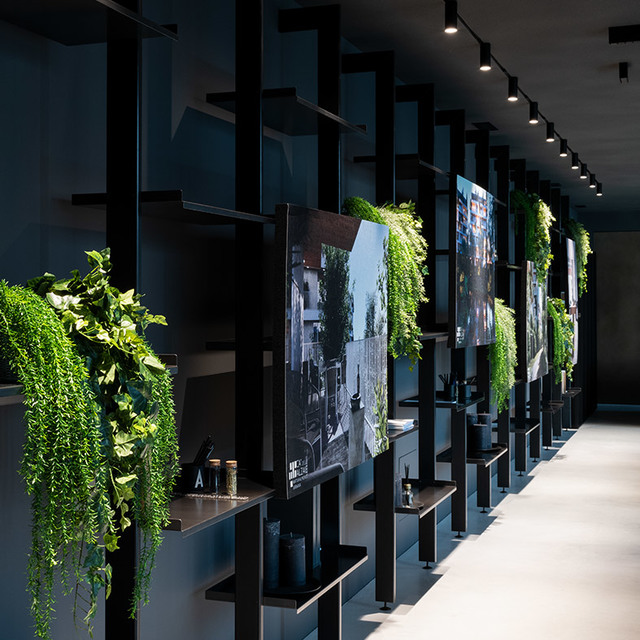 Corridoio showroom con scaffalature nere, piante verdi cascanti, foto incorniciate e faretti su binario che illuminano lo spazio.