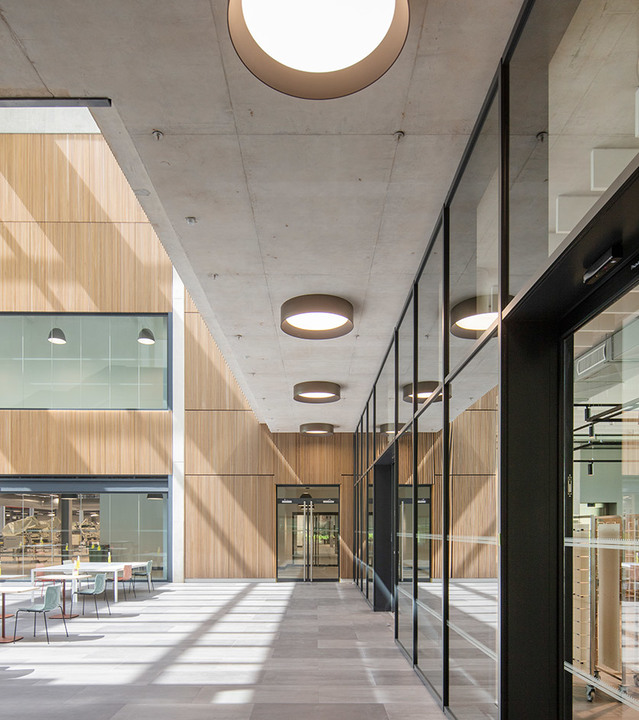 Corridoio moderno con soffitto in cemento a vista, plafoniere rotonde con bordo scuro e lucernario circolare, affiancato da pareti in legno e pareti vetrate.