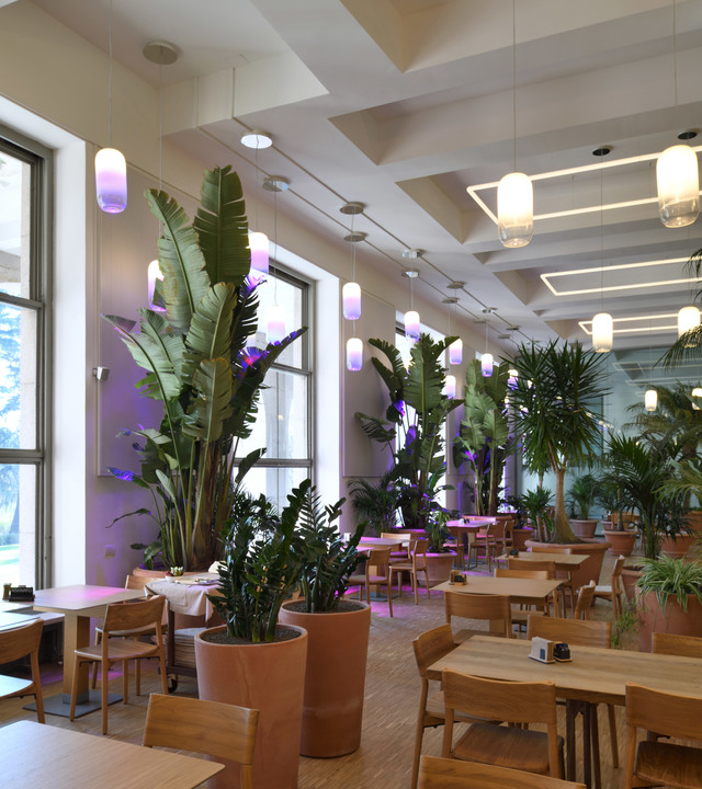 Interno di ristorante con piante tropicali, mobili in legno e lampade a sospensione Artemide a forma di capsula con luce bianca calda e viola