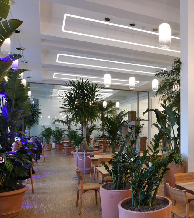 Interno di ristorante moderno con rigogliose piante tropicali, luci a soffitto lineari LED a incasso e lampade a sospensione cilindriche bianche sopra i tavoli