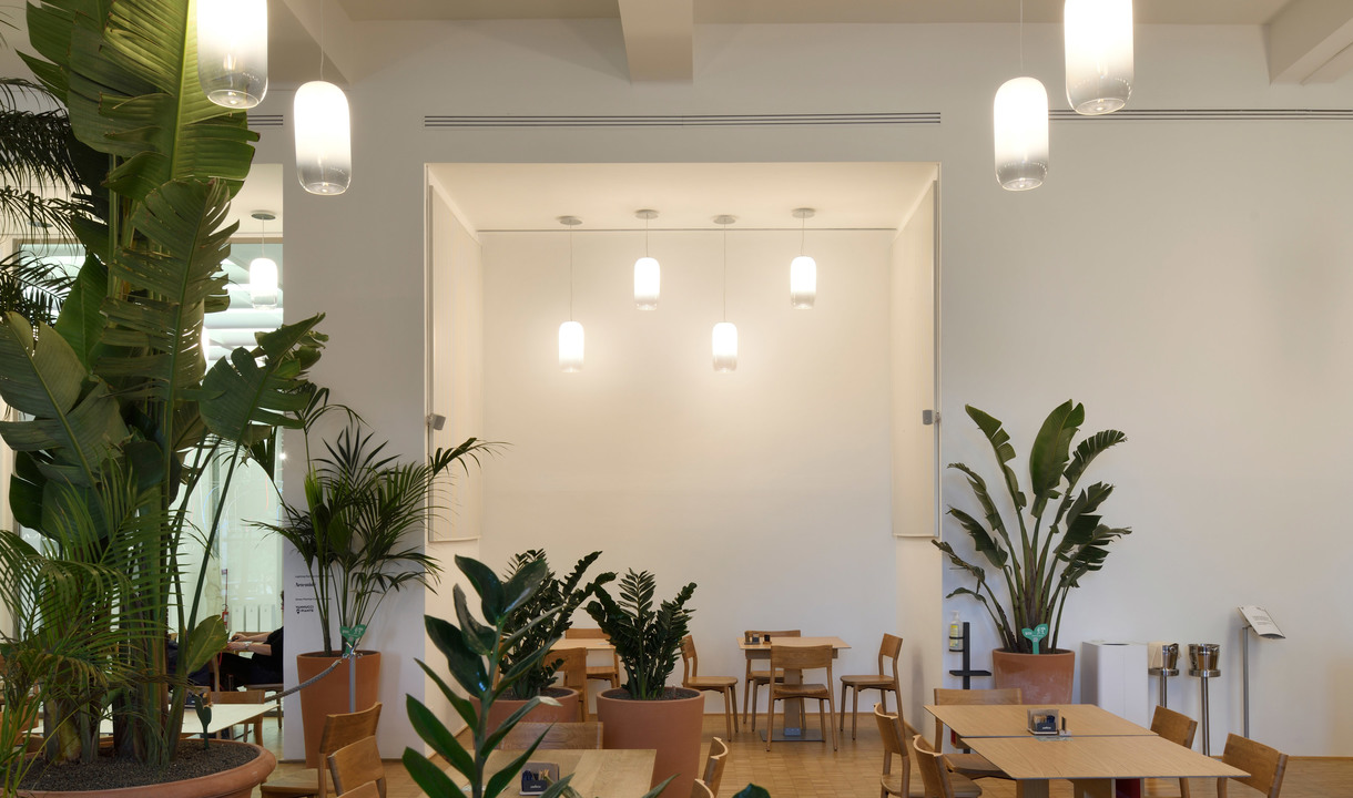 Interno luminoso di un caffè con lampade a sospensione cilindriche bianche, rigogliose piante tropicali, tavoli e sedie in legno e luci da incasso a soffitto.