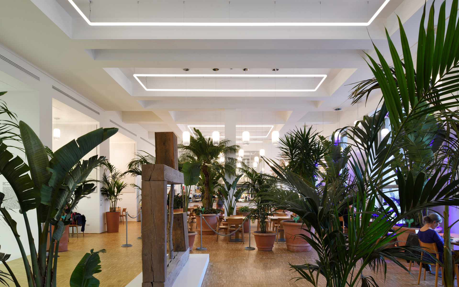 Ingresso luminoso con strisce LED rettangolari a soffitto che illuminano uno spazio con piante tropicali in vaso e aree salotto.