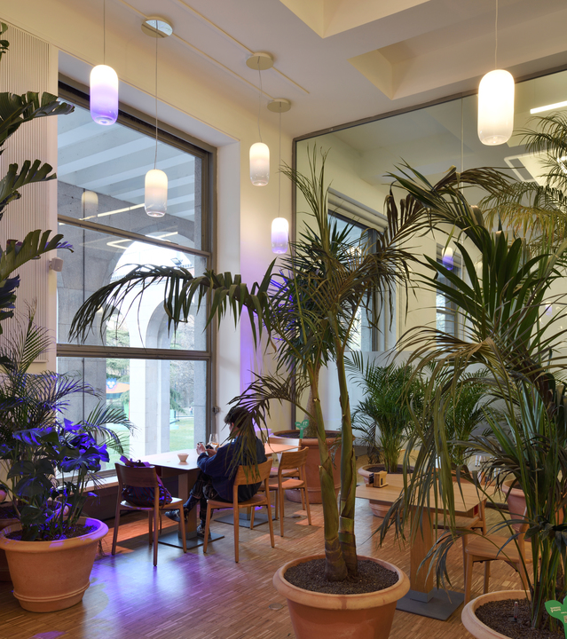 Interno di un caffè con alte piante tropicali e lampade a sospensione cilindriche Artemide che emettono luce bianca calda e viola.