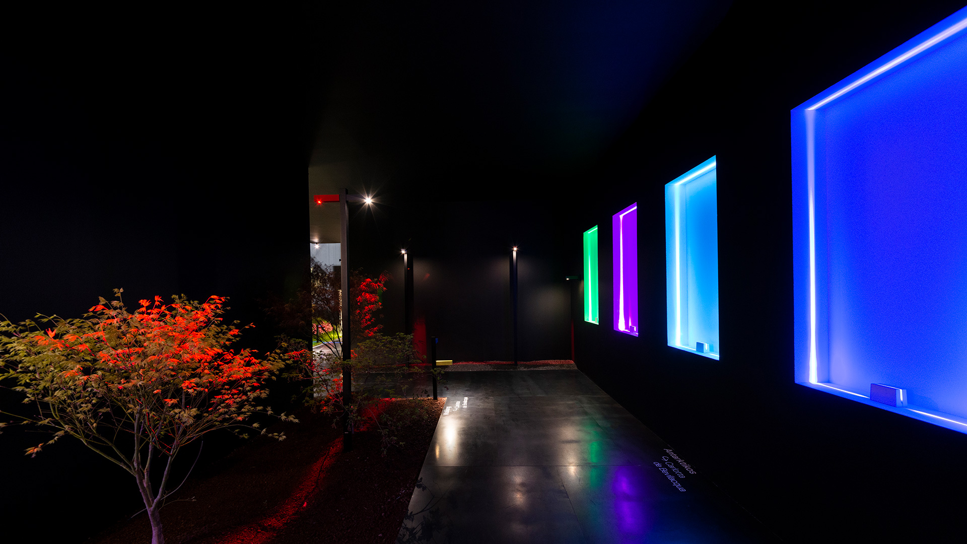 Corridoio esterno di notte con applique Antarktikós che emettono luce blu, ciano, verde e viola, illuminando un vialetto buio con un albero dalle foglie rosse.
