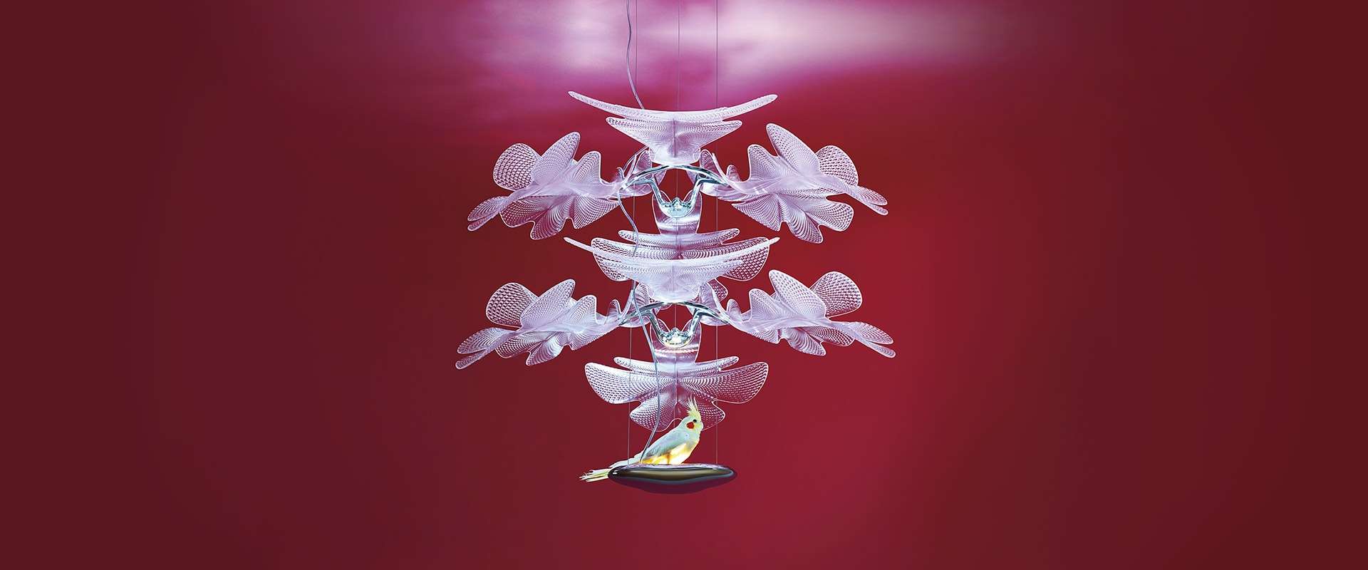 Due lampade a soffitto Artemide: Chlorophilia con diffusori a forma di foglia e Chlorophilia 2 con petali traslucidi a rete intrecciata