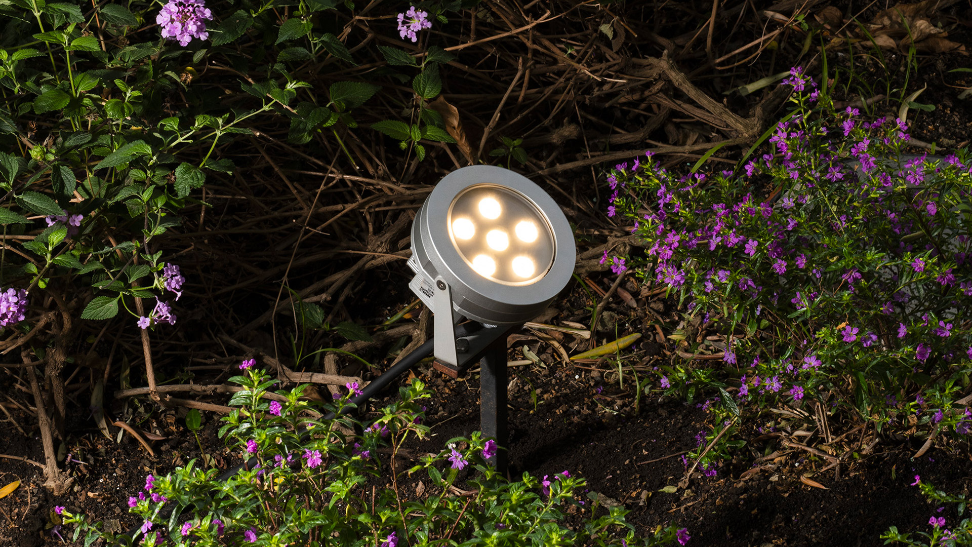 Faretto LED da esterno Artemide Ego Spot su picchetto, luce bianco caldo, corpo argento, posizionato tra piante fiorite viola di notte