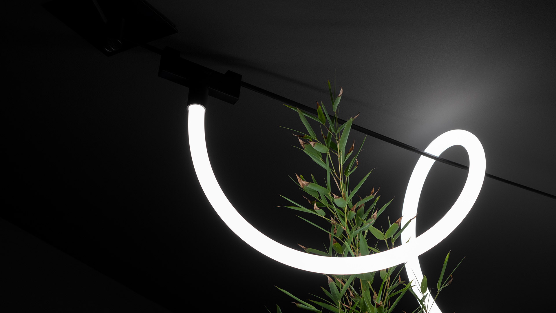 Sistema Artemide Funivia: binario nero con sospensioni modulari tra cui anello circolare, barra lineare, faretto, sfera e neon flessibile LED