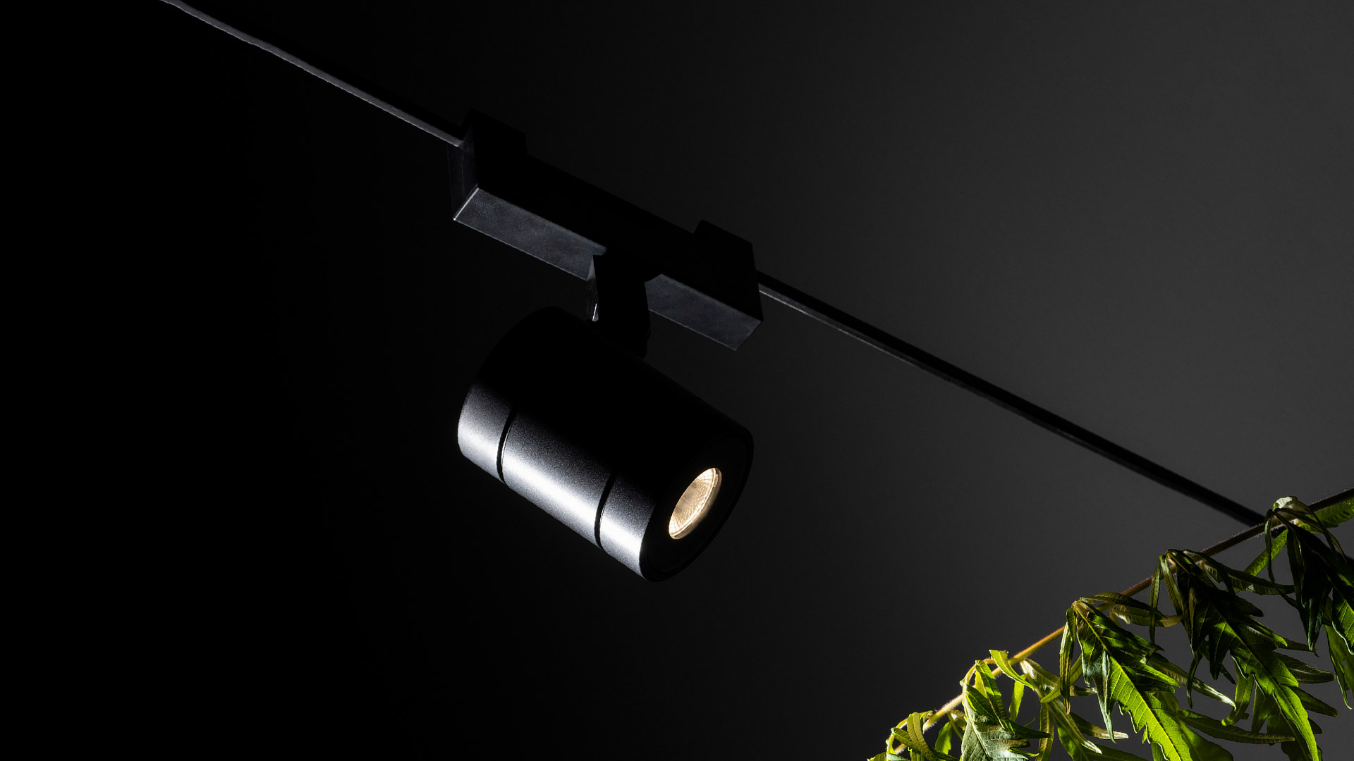 Artemide Funivia Outdoor: tubo flessibile LED bianco luminoso a forma di onda, sospeso da cavi su parete scura con piante