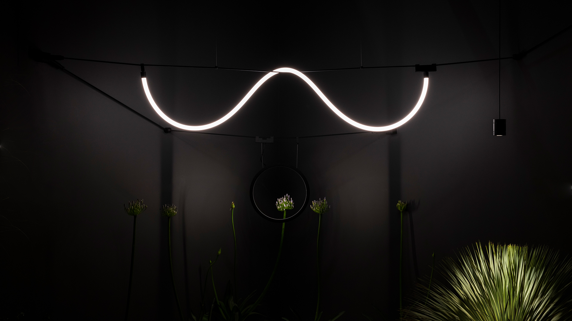 Lampada a sospensione Artemide Funivia: anello LED circolare scuro sospeso da cavi neri, illuminato su sfondo scuro con fogliame rosso