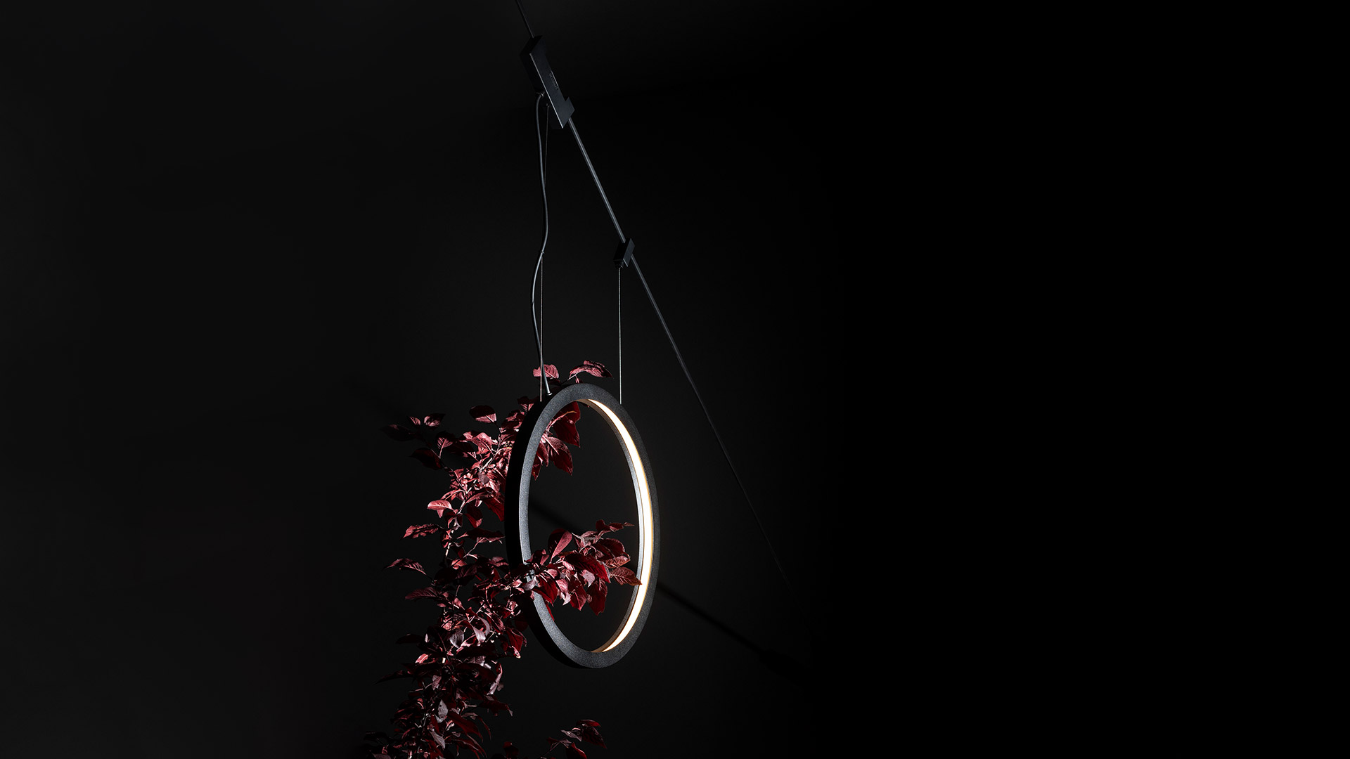 Artemide Funivia Outdoor: tubo LED flessibile bianco luminoso a forma di anello curvo, sospeso a una guida a cavo nera su sfondo scuro con fogliame
